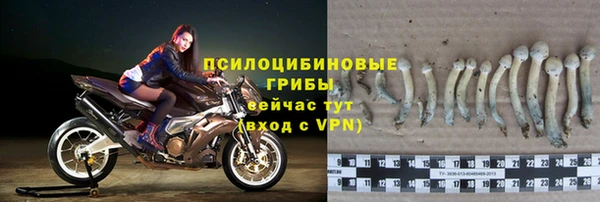 mdpv Баксан