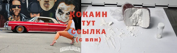 шишки Белокуриха