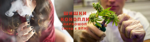 шишки Белокуриха