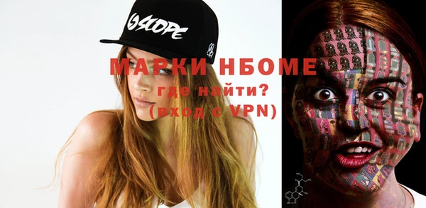 шишки Белокуриха