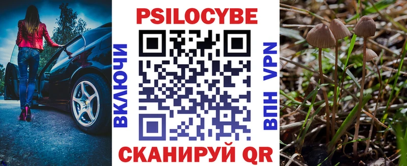 Псилоцибиновые грибы MAGIC MUSHROOMS  Купить  Сенгилей 